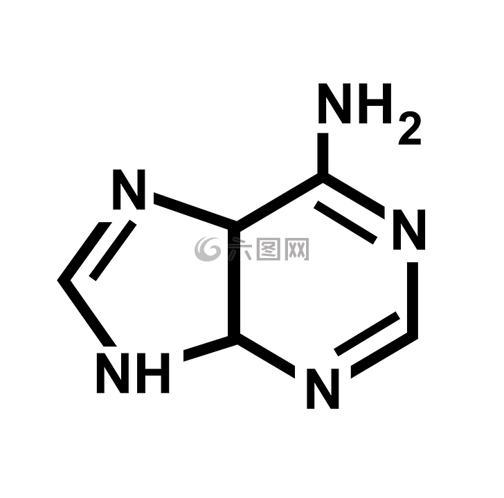 腺嘌呤,核苷酸,痛風(fēng)