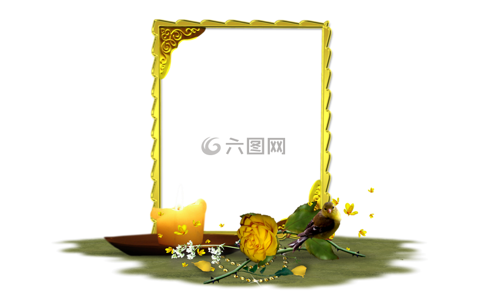 玫瑰,黃色,花