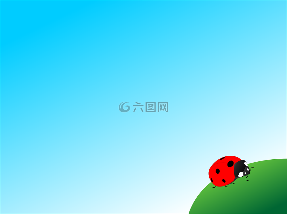 瓢蟲,昆蟲,向量