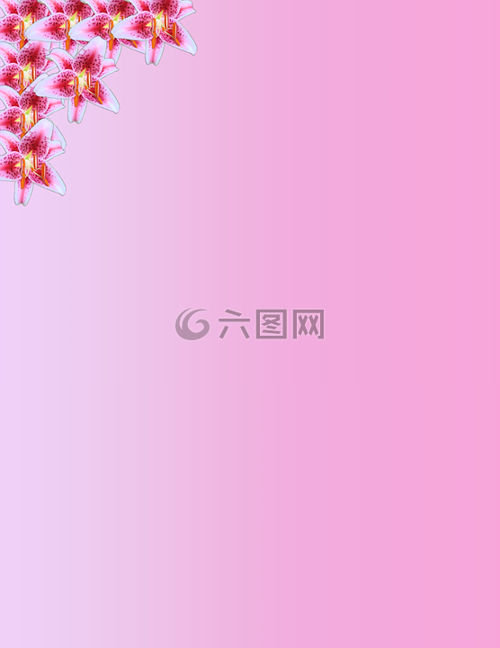 紙,邊境,信