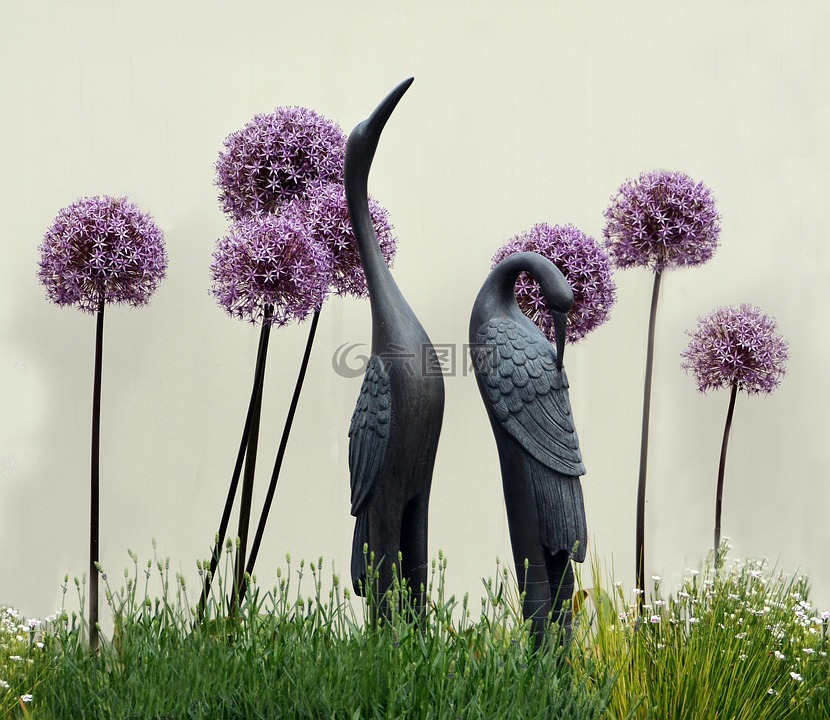 原野,鳥,野生動物