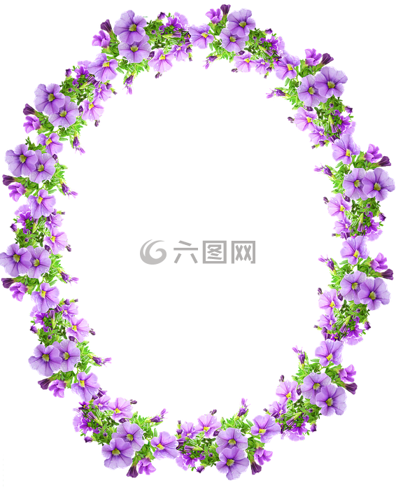 幀,邊境,紫紅