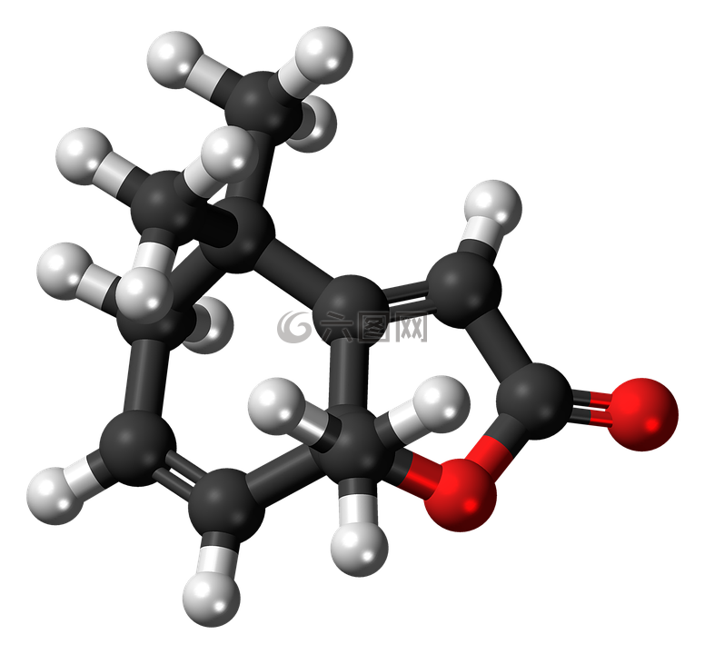 actinidiolide,信息素,分子
