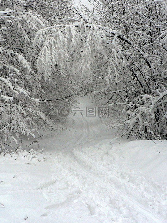 冬季,雪,腳印