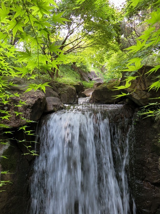 景觀,性質(zhì),水