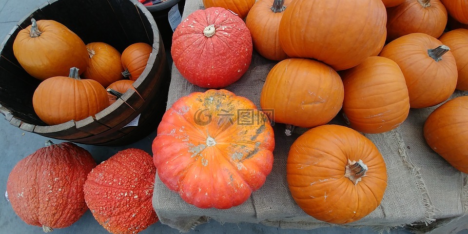 南瓜,秋,橙色