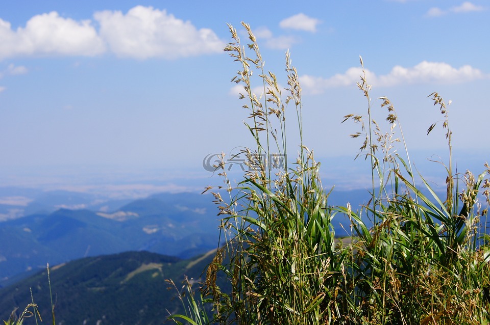 查看,山,谷