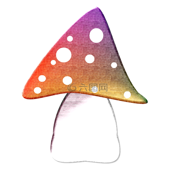 蘑菇,性質(zhì),林