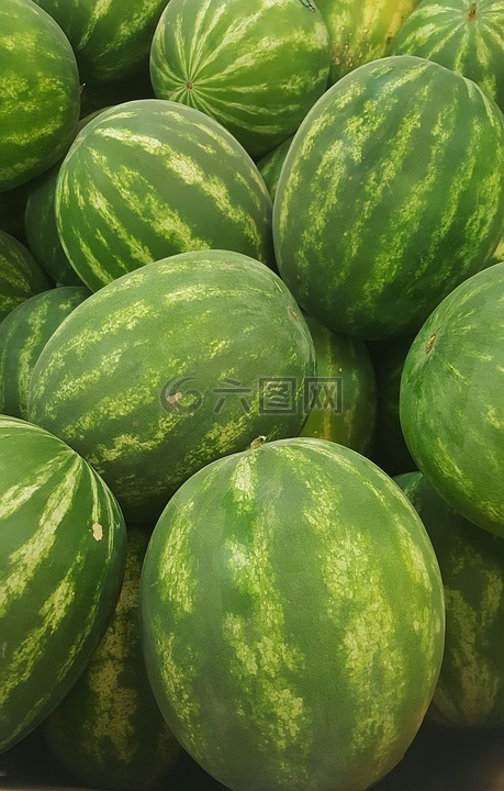 西瓜,瓜,無核