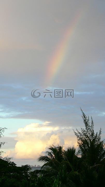 彩虹,天空,云
