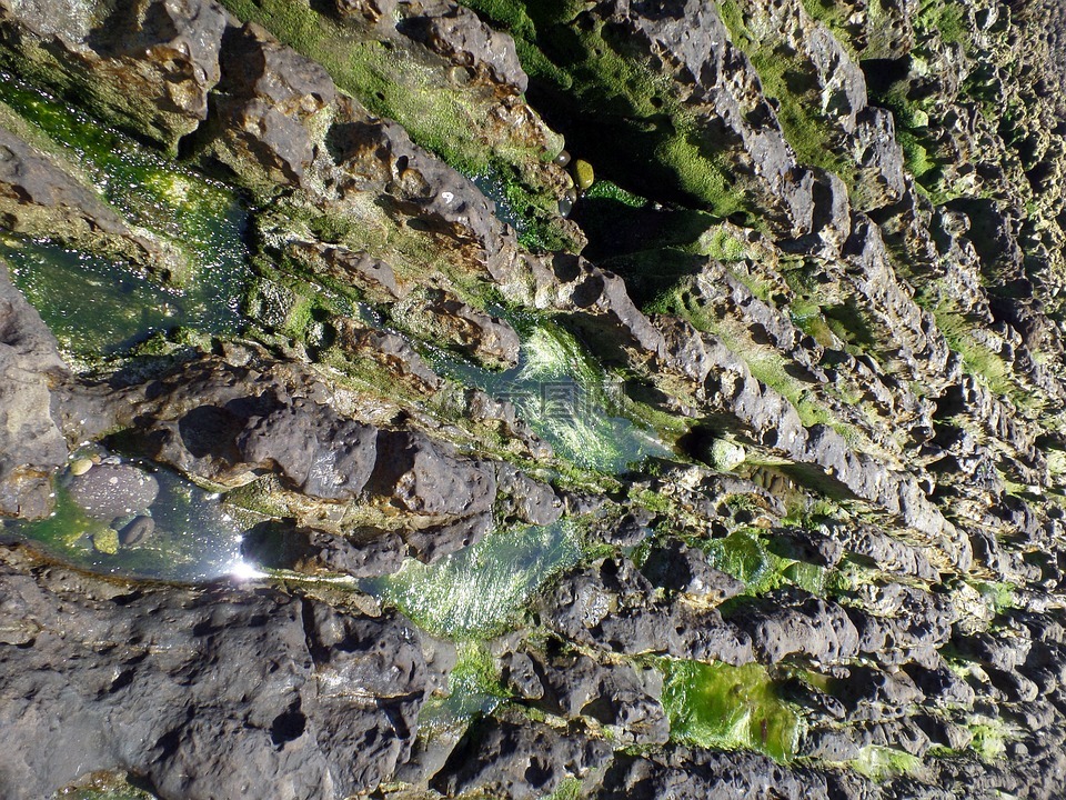 巖,海灘,rocky