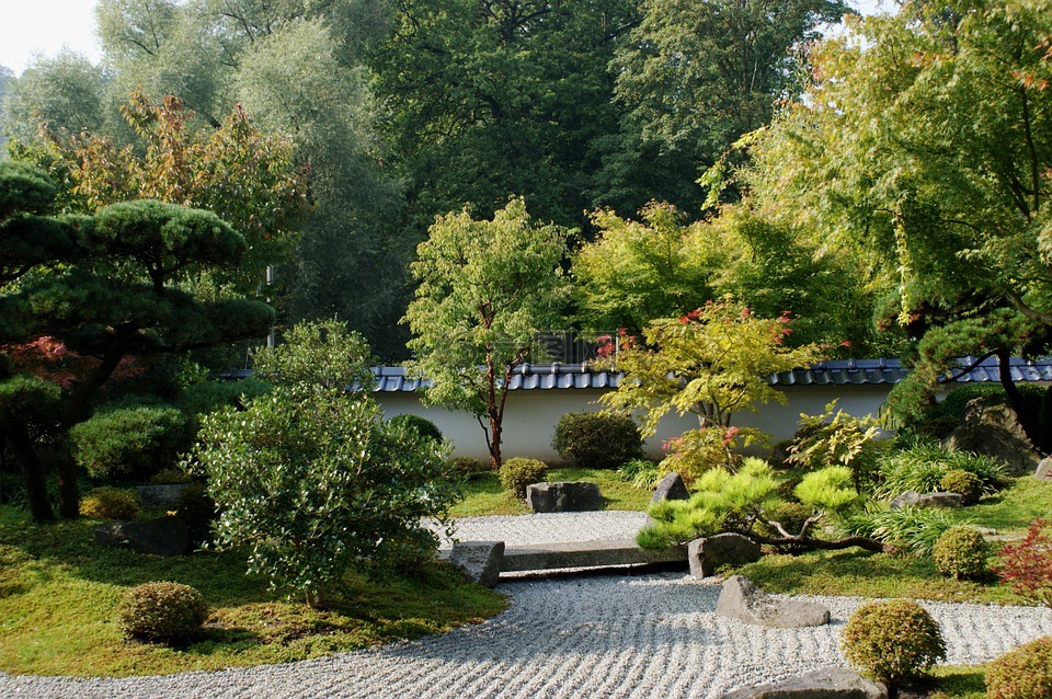 性質(zhì),樹(shù)木,植物