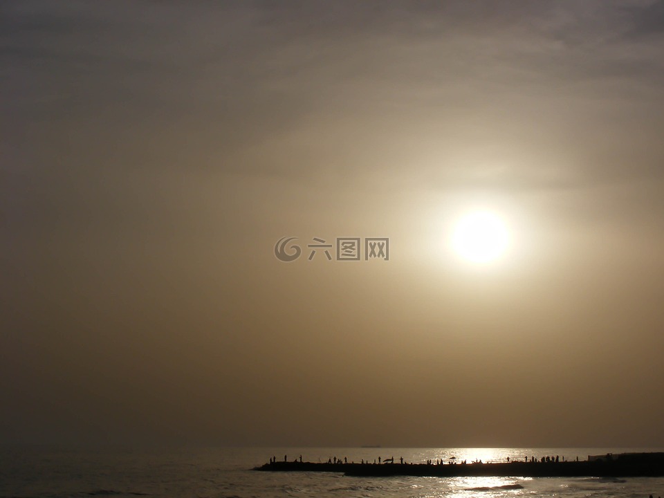 日落,海灘,人民