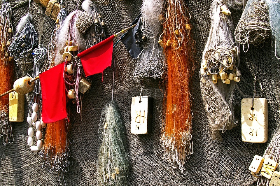 端口,魚(yú)網(wǎng),菲舍爾