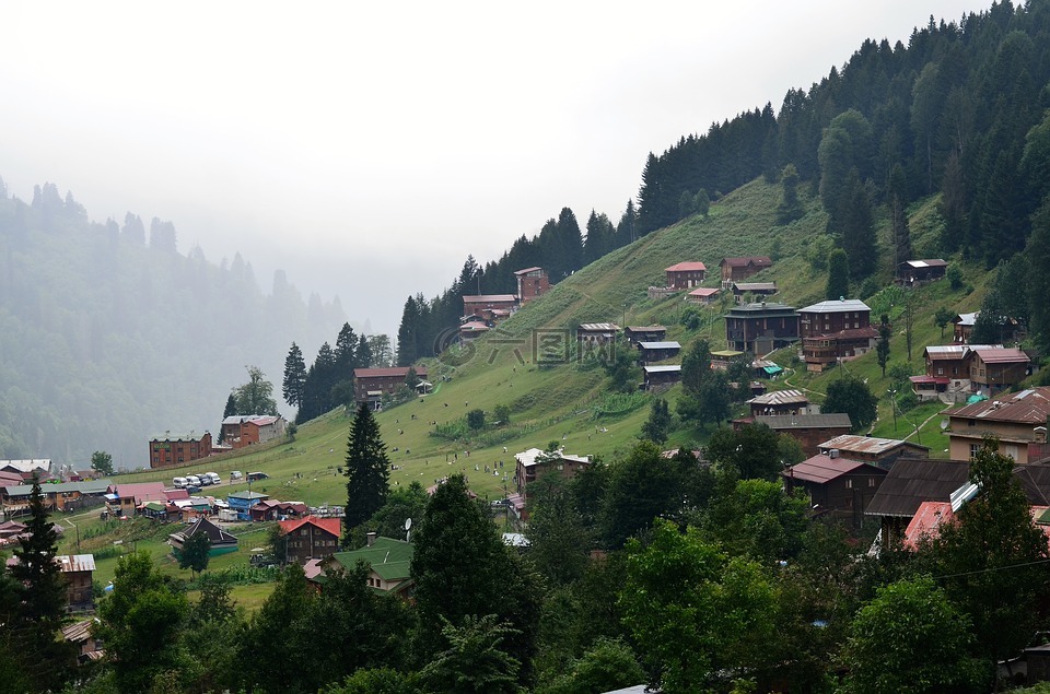土耳其,黑海東,rize