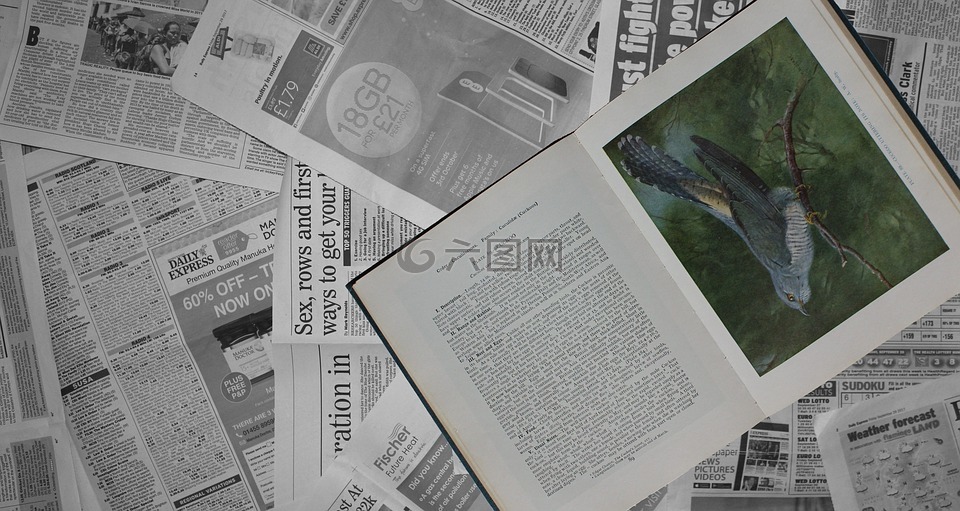 書(shū),鳥(niǎo),杜鵑