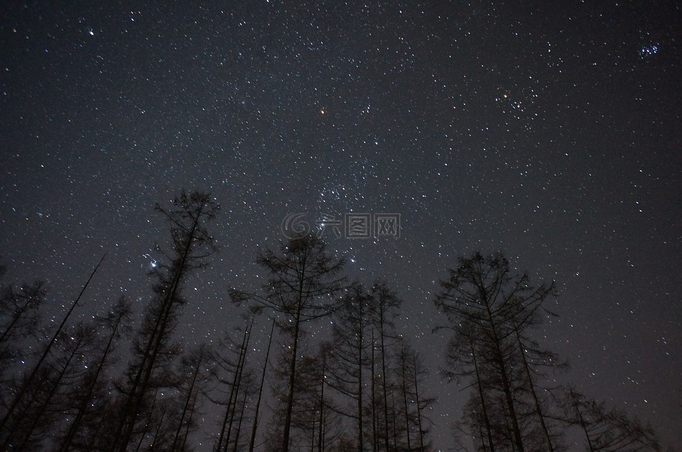 宇宙,天空,明星