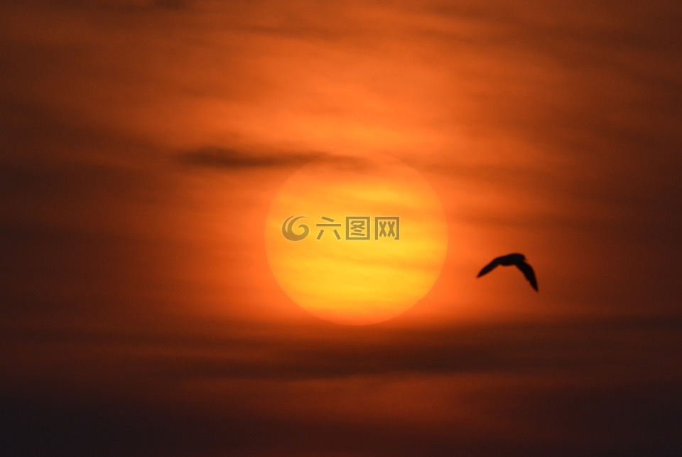 日落,太陽,落山的太陽
