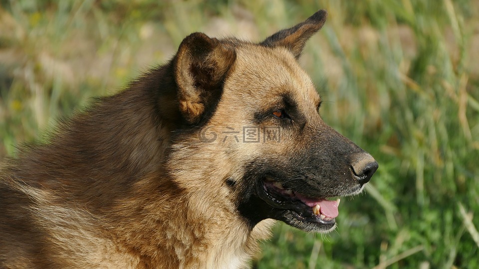 lumix,fz1000,??????