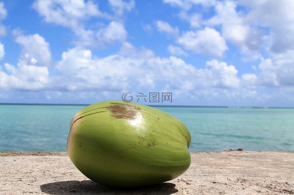 椰子,關(guān)島,天空