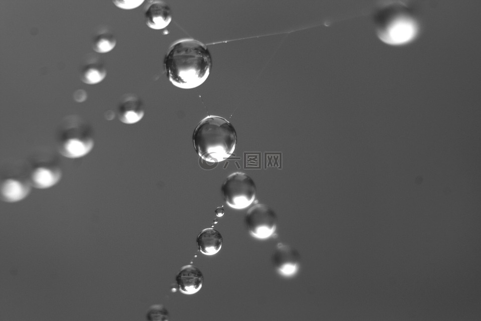 露水,滴,morgentau