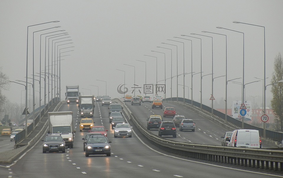 汽車,路,霧