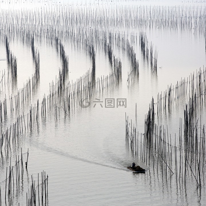 旅行,漁民,河