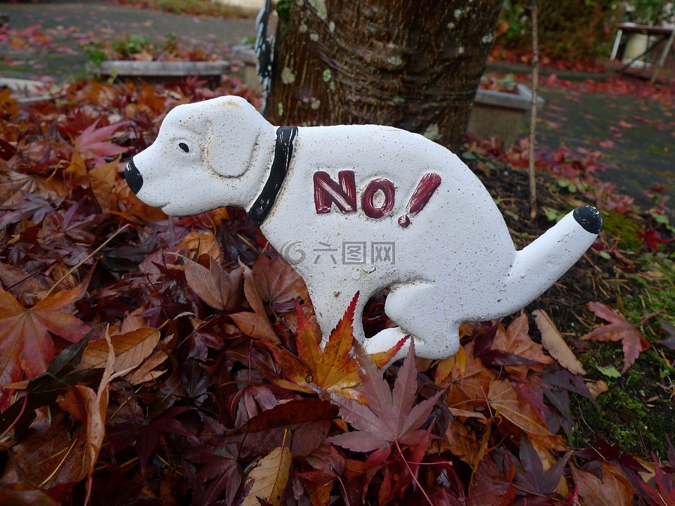 開心,生活,街景