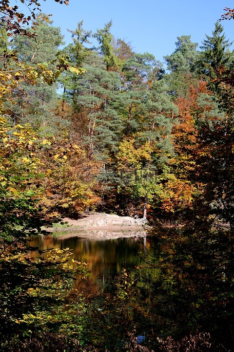 斯圖加特,pfaffenteich湖,熊湖