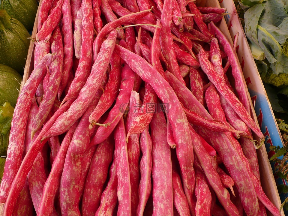 食品,蔬菜,豆类