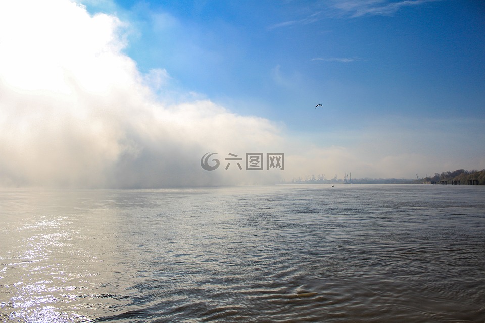 霧,河,多瑙河