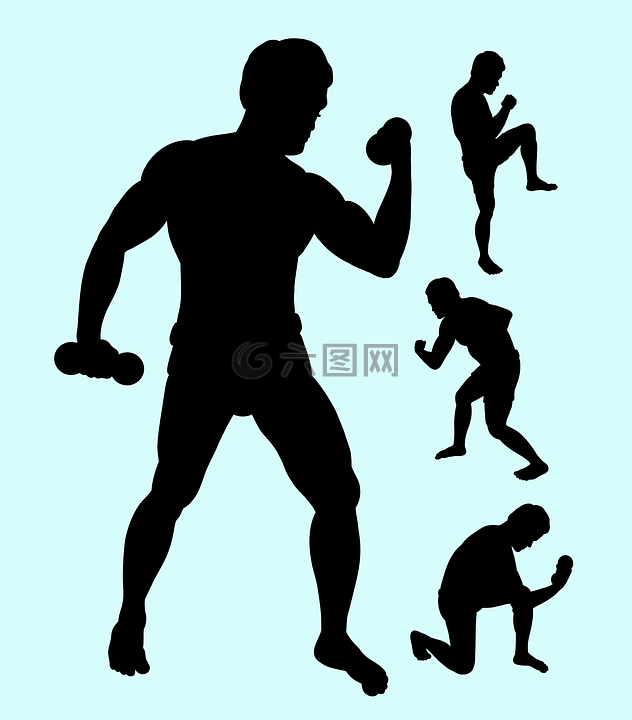 acrobat,解剖,艺术