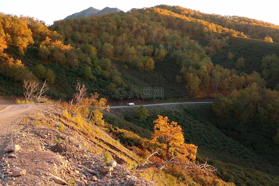 秋季,山,路