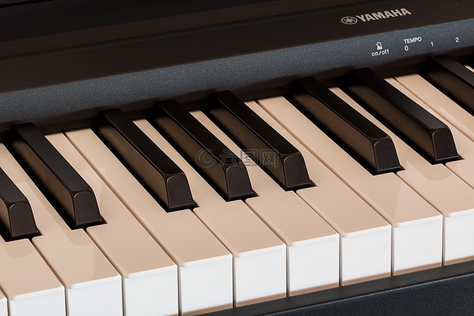 钢琴,键盘,音乐