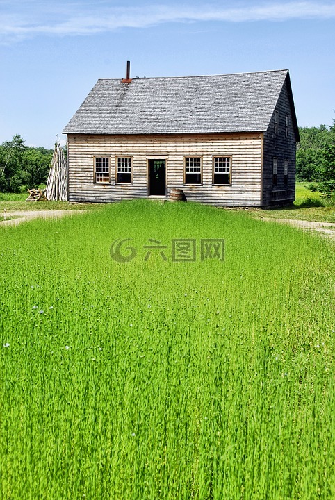 亚麻,原野,农场的房子