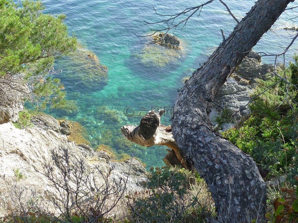 海,地中海,巖