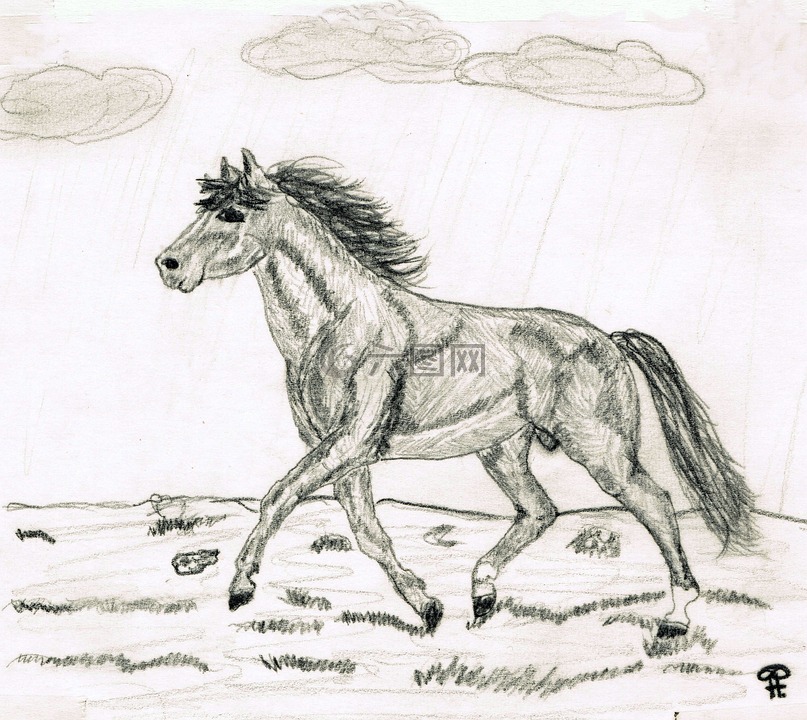 绘图,铅笔素描,马
