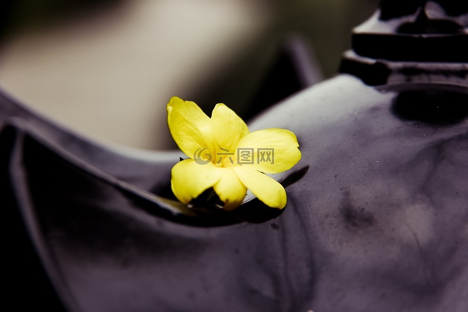 花,燈,黃色