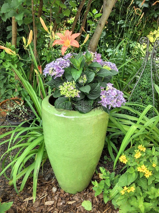 花盆,花园,花瓶