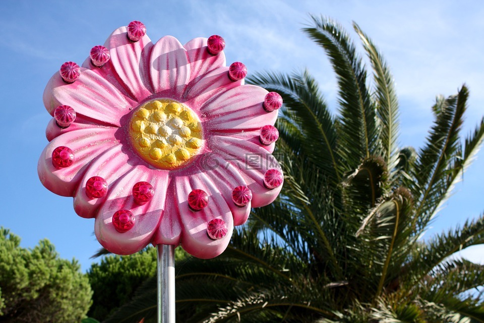 粉红色的花朵,嘉年华,小组