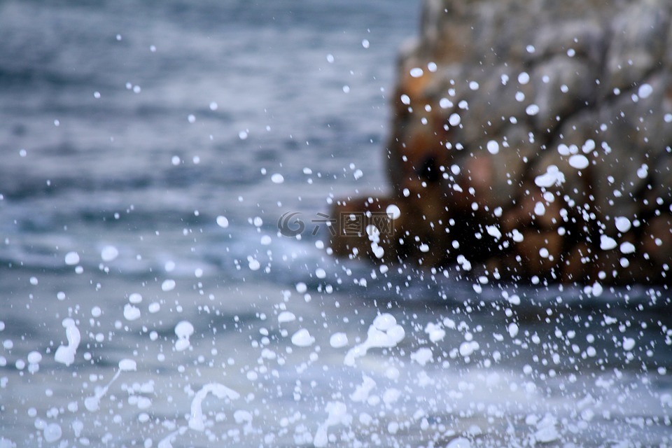 沖浪,海洋,海岸