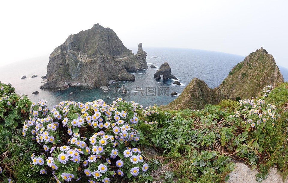 獨島,韓國,我們的領土