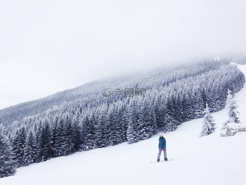 滑雪,滑雪板,山