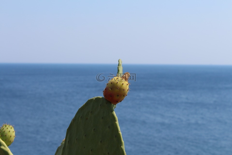 salento,意大利,普利亚大区