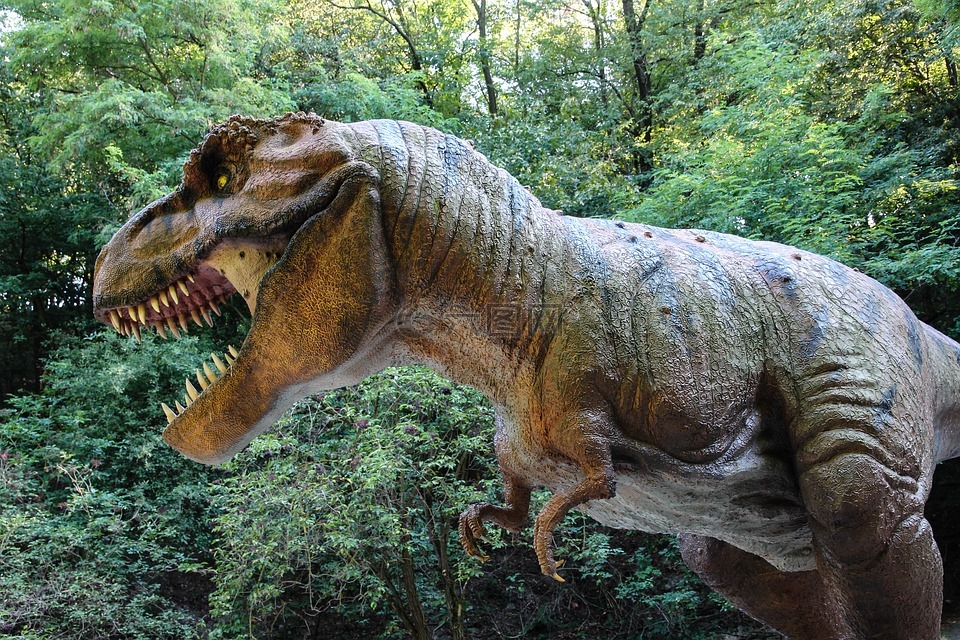 恐龙,tyranosaurus,雕塑