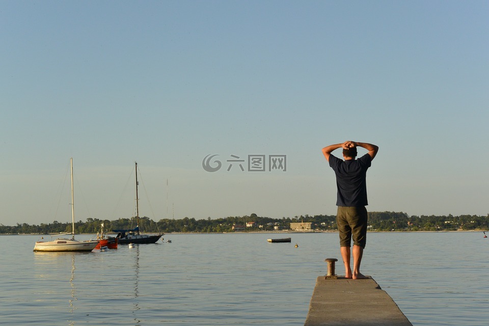 灣,船,捕魚