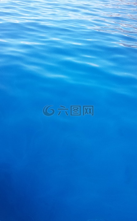 水,毛伊島,海洋