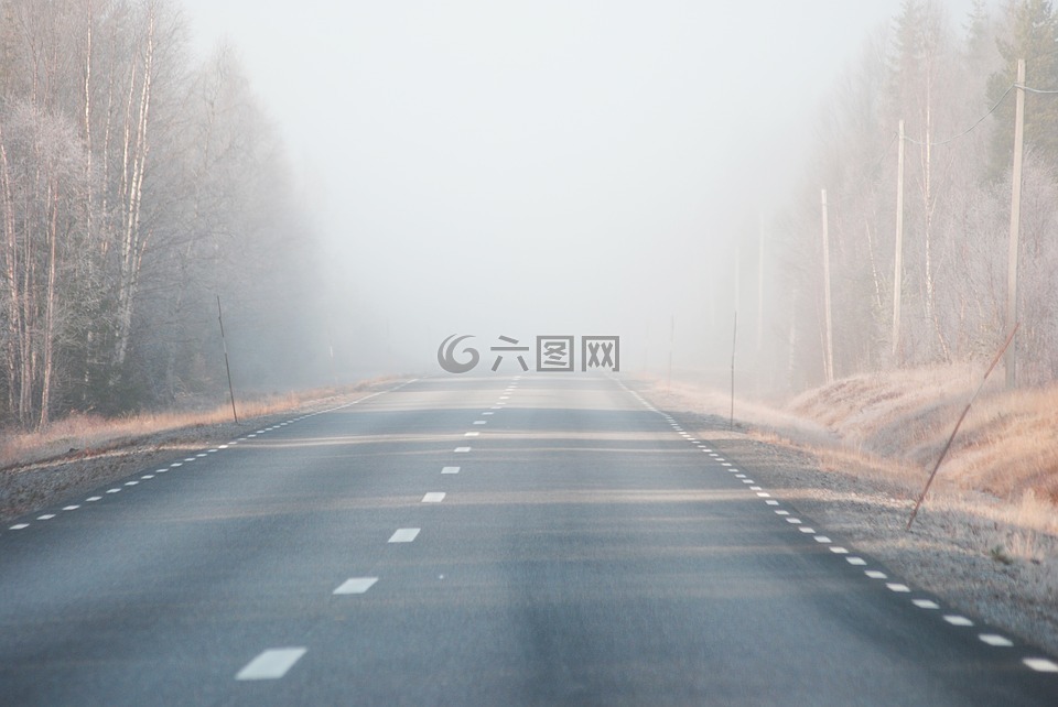 霧,路,清晨