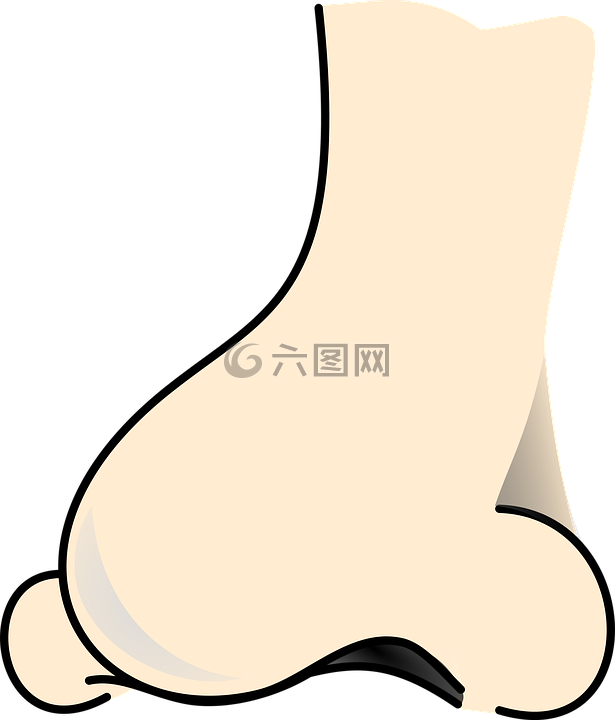 字母詞圖片,臉,人類