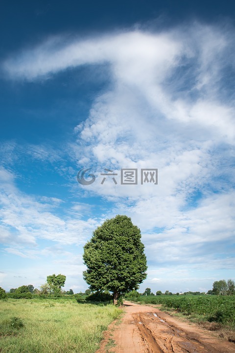 天空,天空藍(lán)色雨后,美麗